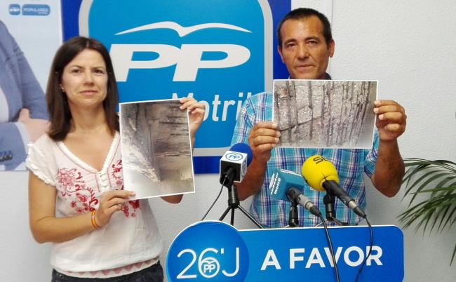 Los populares han denunciado el lamentable estado de deterioro que tiene la  estructura de la Rambla de Villanueva, hierros oxidados, estructura de hormigón agrietada, la estructura metálica en avanzado estado de deterioro etc.