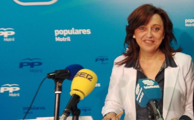 PP-Motril denuncia que mientras que en 2010 la subvención de este programa para era de 10.000 euros, este año la partida destinada a la atención socioeducativa de las familias se queda en 2000 euros para el ejercicio 2015.