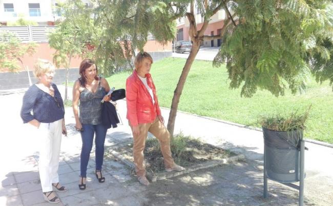 El Partido Popular pide un Plan Especial de Limpieza para Motril La portavoz del Grupo Municipal del Partido Popular ha pedido al actual equipo de gobierno municipal la puesta en marcha de forma urgente de un Plan Especial de Limpieza en Motril y que se materialice durante el mes de septiembre.