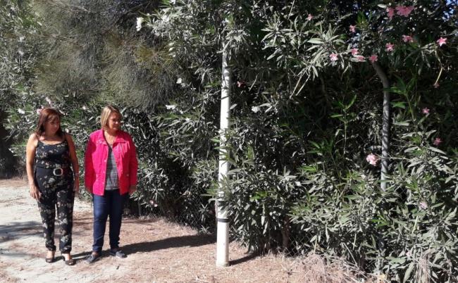El Partido Popular visita Varadero y pide mejoras para el barrio. Los populares piden a Almón que se preocupe por Varadero y por sus vecinos, que están completamente abandonados por parte del Ayuntamiento de Motril y le ha pedido que los escuche y visite esta zona y compruebe el estado en el que se encuentra y vea la realidad, dos años y medio después de entrar en el gobierno la Sra Almón sigue sin presupuestos para la ciudad y sin proyectos para Motril y los motrileños.