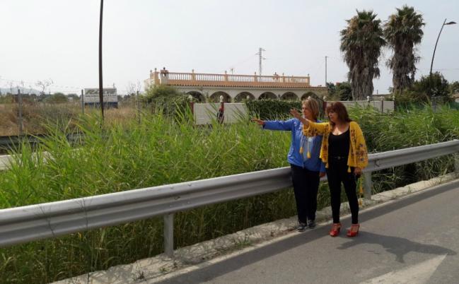 El Partido Popular solicita la limpieza de las Ramblas del término municipal de Motril Los populares solicitan la limpieza de las Ramblas, tanto en el municipio motrileño como en sus anejos, tales como las ramblas del Rejón y de los Callejones de Carchuna, la de Villanueva en Torrenueva y las ramblas de las Brujas y de los Álamos y Puntalón en Motril.