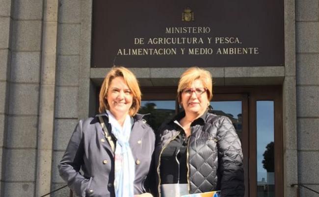 El Gobierno Central estudiará acometer una actuación de urgencia en la playa de Carchuna. El Partido Popular ha mantenido una reunión en el Ministerio de Medio Ambiente para dar a conocer la situación que tiene el litoral de la costa granadina en sus playas, muy castigadas por los temporales que sufre año a año y que necesitan de actuaciones de urgencia y definitivas para acabar con los problemas históricos que padece.
