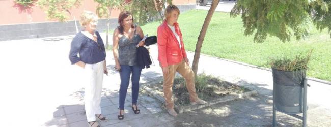 La falta de mantenimiento de los jardines y poda de los árboles, mobiliario urbano roto y deteriorado, acumulación de suciedad de varios días, presencia de roedores y otros insectos entre otras, son algunas de las quejas que han hecho llegar los vecinos de la zona a los populares. 